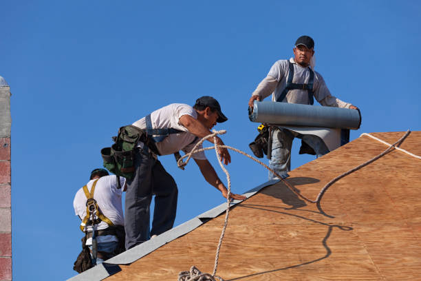 Best Roof Gutter Cleaning  in Salem, SD