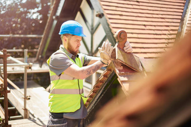 Best Metal Roofing Contractor  in Salem, SD